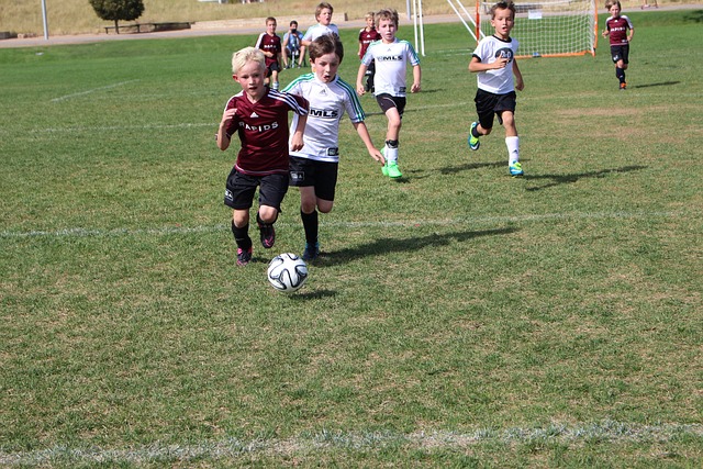 迅速改正了 迅速改正了