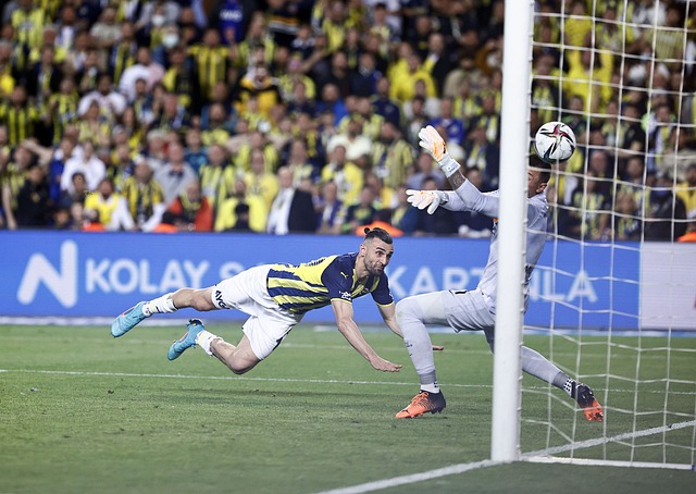 持优异的表 持优异的表