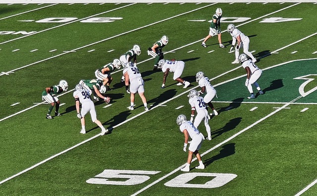 国队的整体 国队的整体