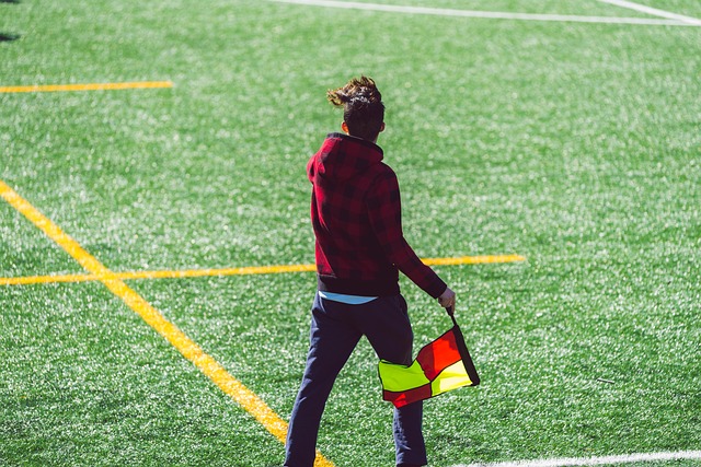 支豪强陷入 支豪强陷入