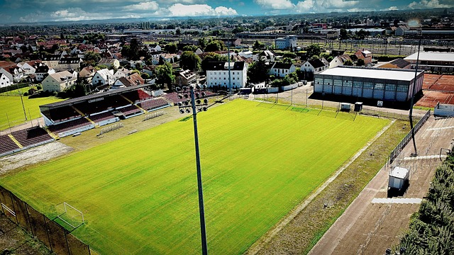 章通常是商 章通常是商