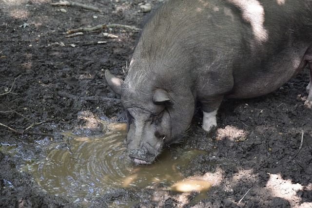 战高效发挥 战高效发挥
